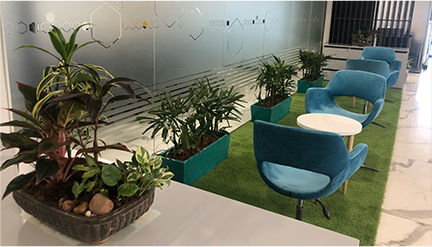 Air Purifying Indooor Plants for Office Breakout Area